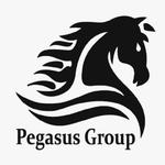 Pegasus Group