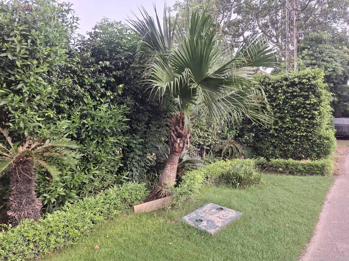 Plot 69, Block A, DHA Phase 1