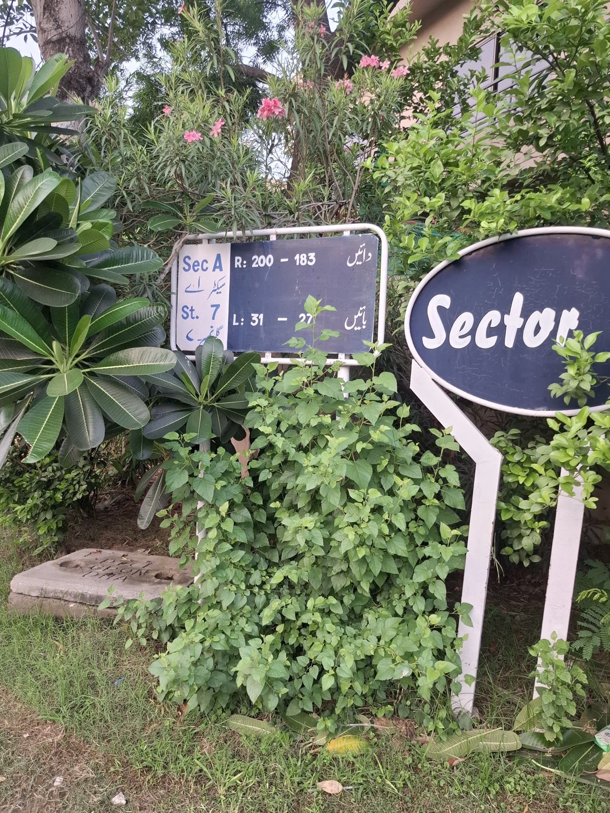 Street 7 board, Block A
