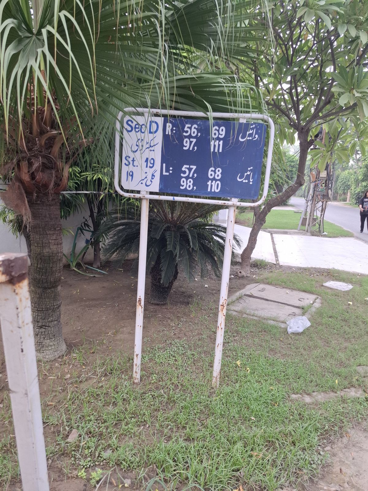 Street 19 board