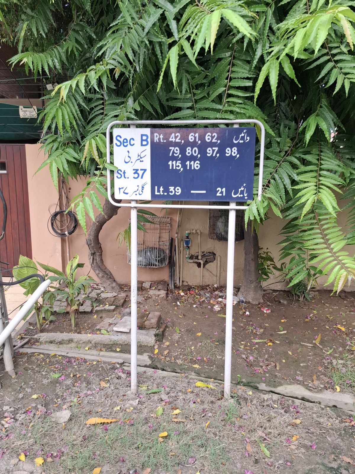 Street 37 board
