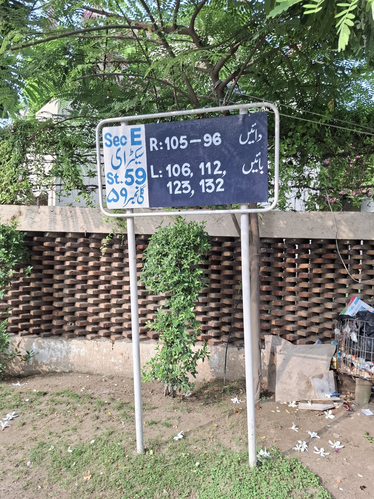 Street 59 board