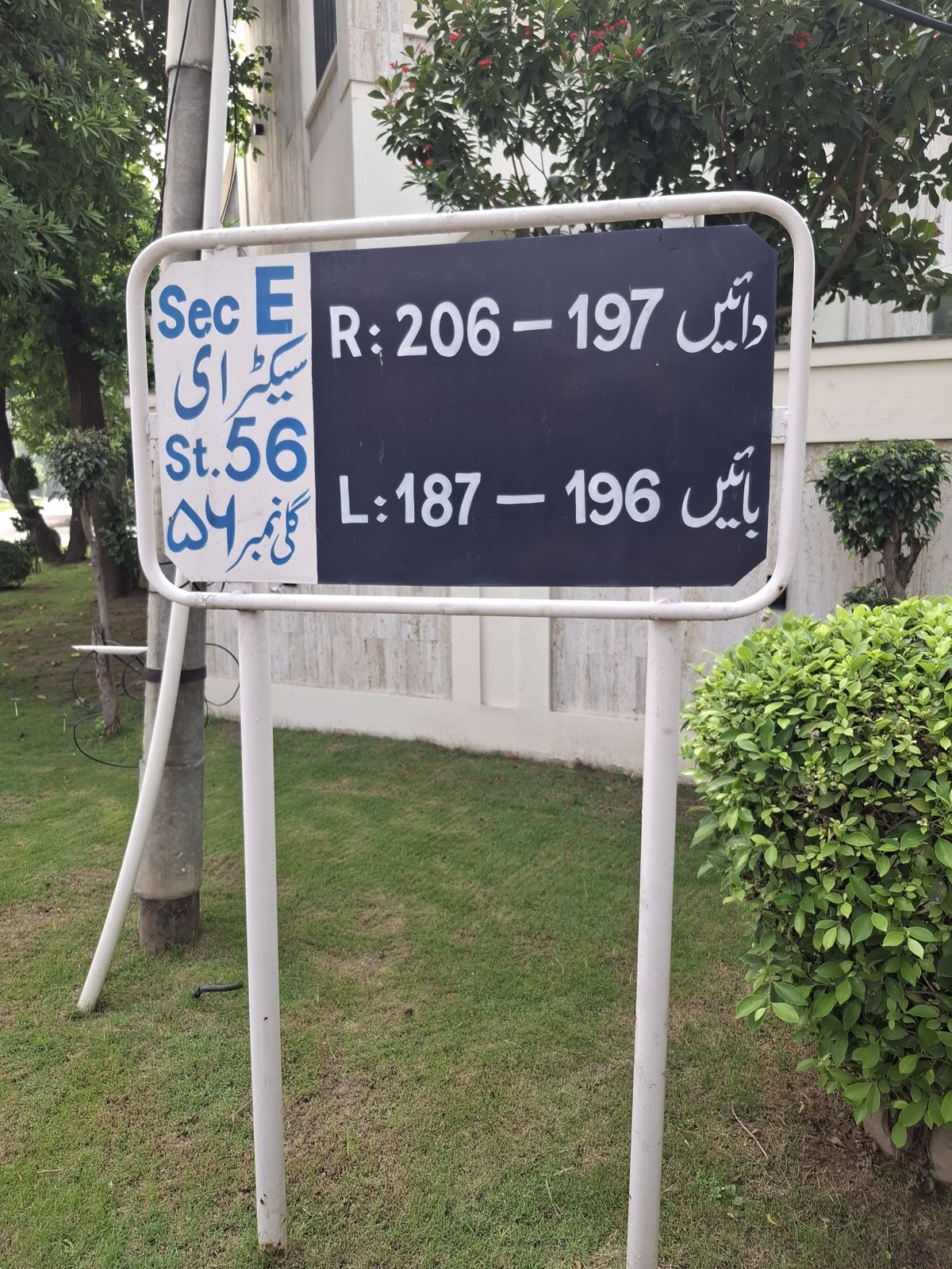 Street 56 board